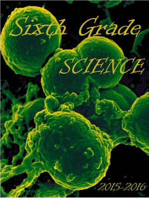 cover image of 6th Grade Science eTextbook
